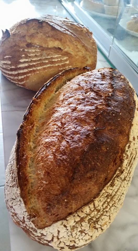 11193358_884223751650019_3351653386670889908_n