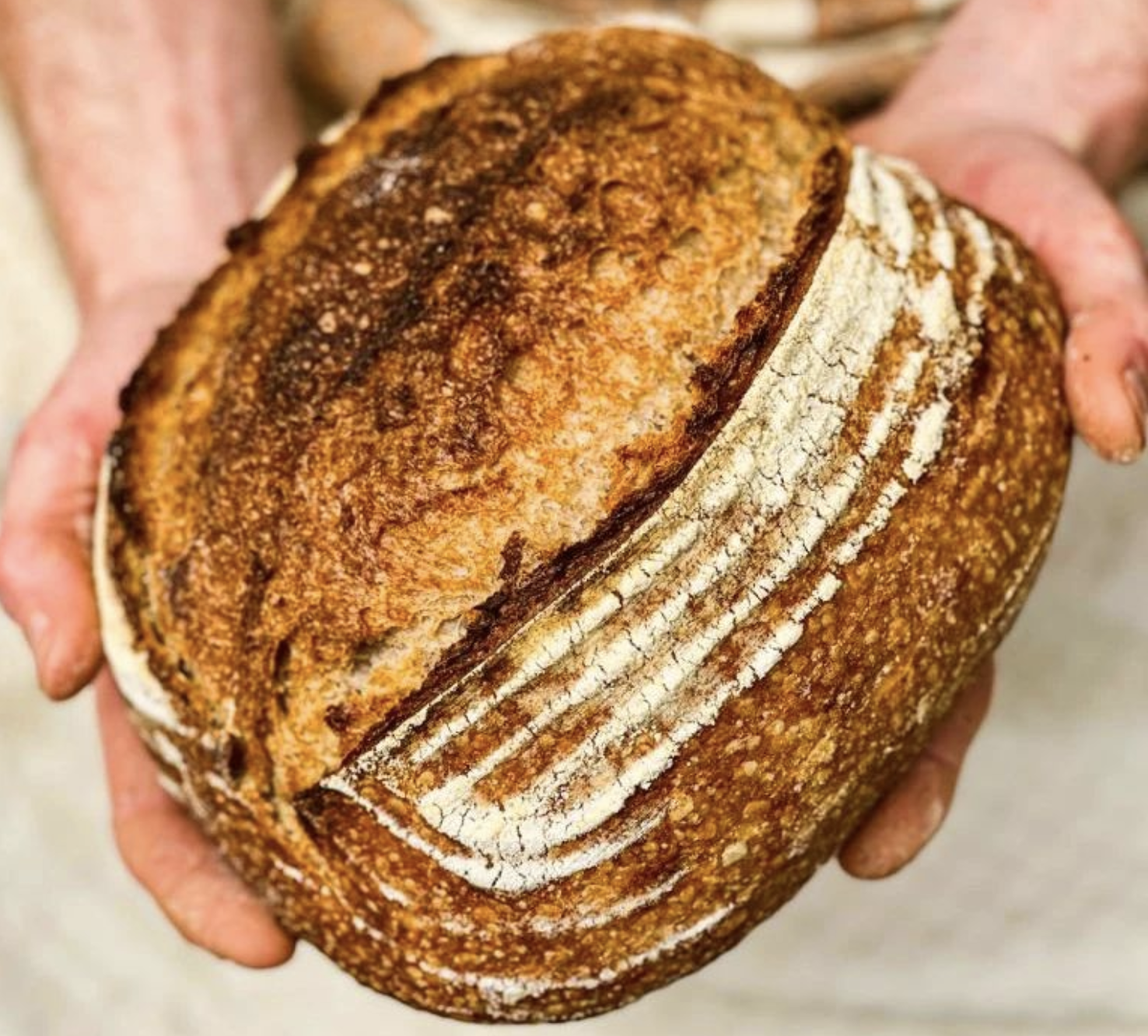 Sourdough from Pike Deli in Clonakilty being held in bakers hands